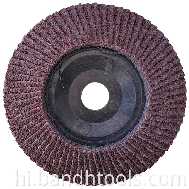 Plastic Plate Flap Disc